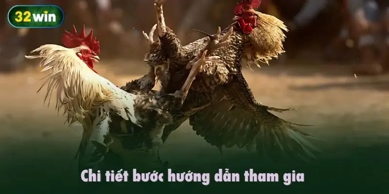 Chi tiết bước hướng dẫn tham gia Đá gà 32Win