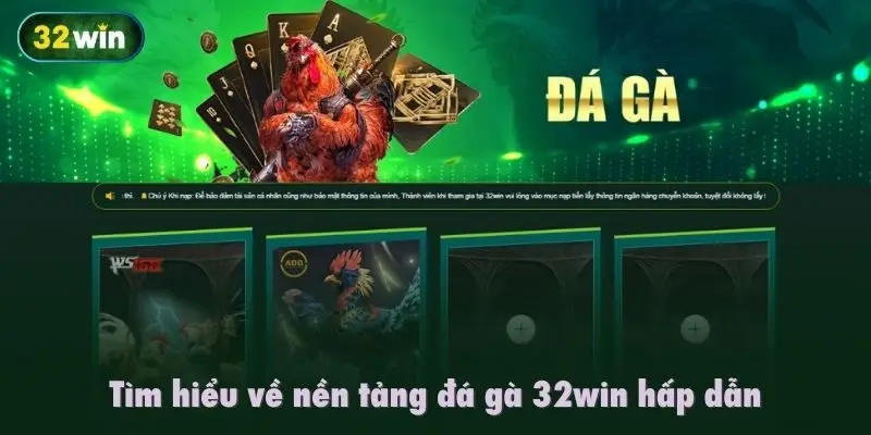 Tìm hiểu về nền tảng Đá gà 32Win hấp dẫn